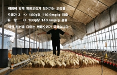 유황오리 무첨가 오리훈제 슬아이스 혼족용 350g(175g*2팩)*3팩 덕담골 얼쑤