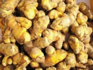울금가루 무농약 지리산에서 오리아빠가 기른 울금 350g